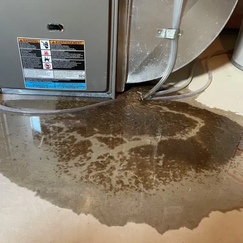 Appliance Leak Cleanup in Hurley, NY